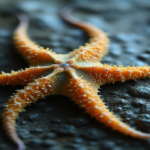 How Long Can an Arm of a Brittle Star Grow, A vibrant underwater scene showcasing a large brittle star with elongated arms gracefully extending in various directions, surrounded by colorful coral formations and a diverse array of marine life, illuminated by soft shafts of sunlight filtering through the water.